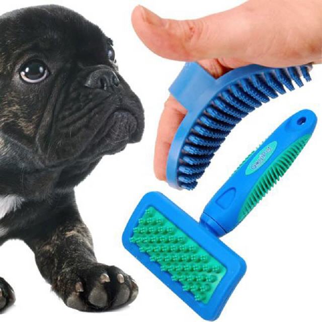 Badebürsten für kurzhaarige Hunde