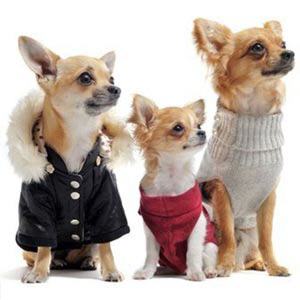 Hundeklamotten