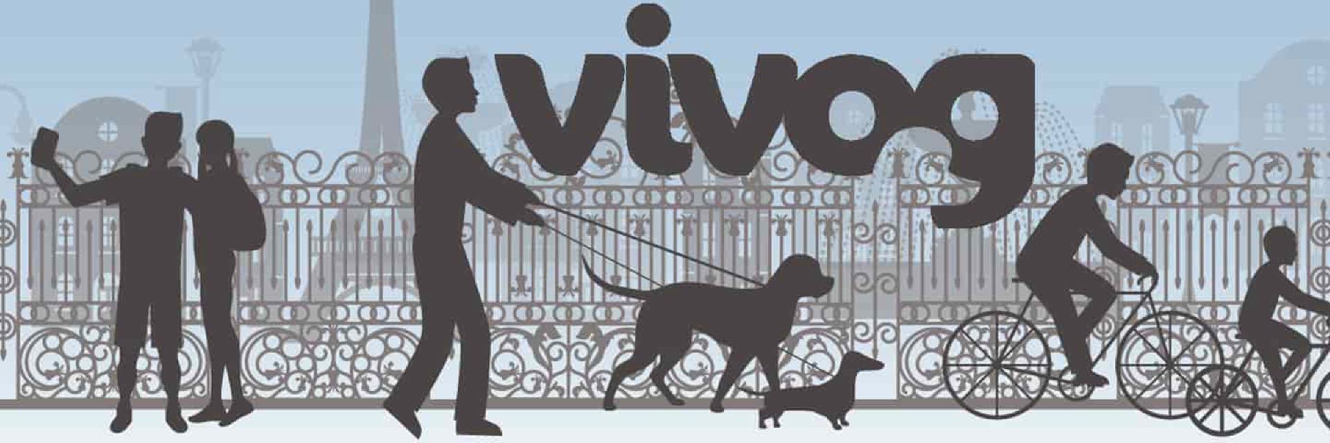 Vivog Produkte online günstig kaufen