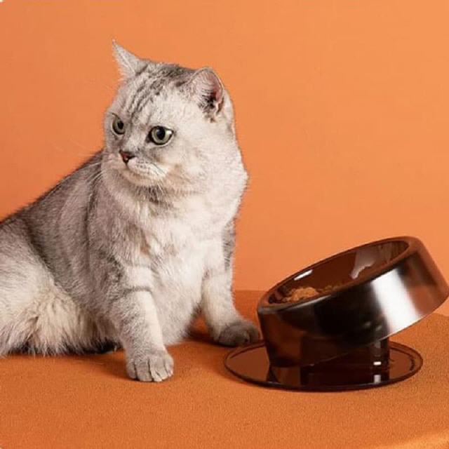 Welpennapf & Katzennapf